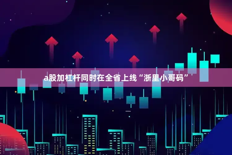 a股加杠杆同时在全省上线“浙里小哥码”