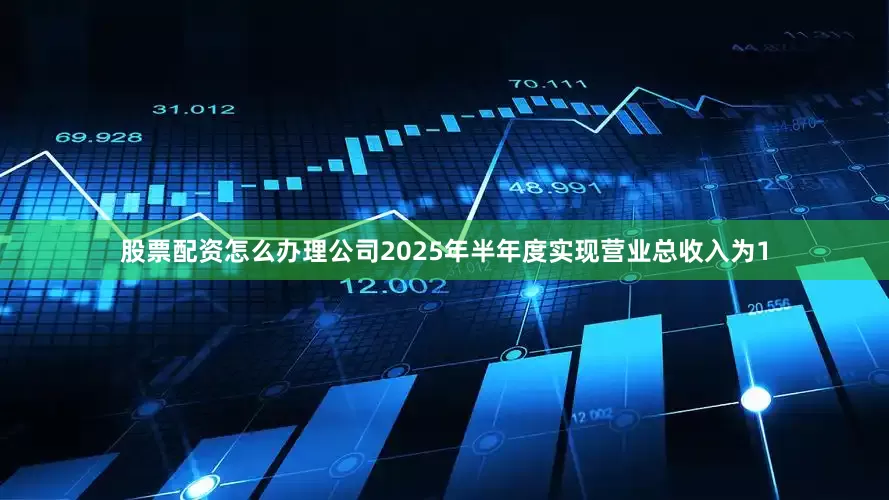 股票配资怎么办理公司2025年半年度实现营业总收入为1